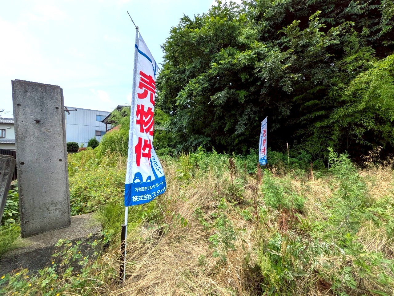 物件の外観・内観画像