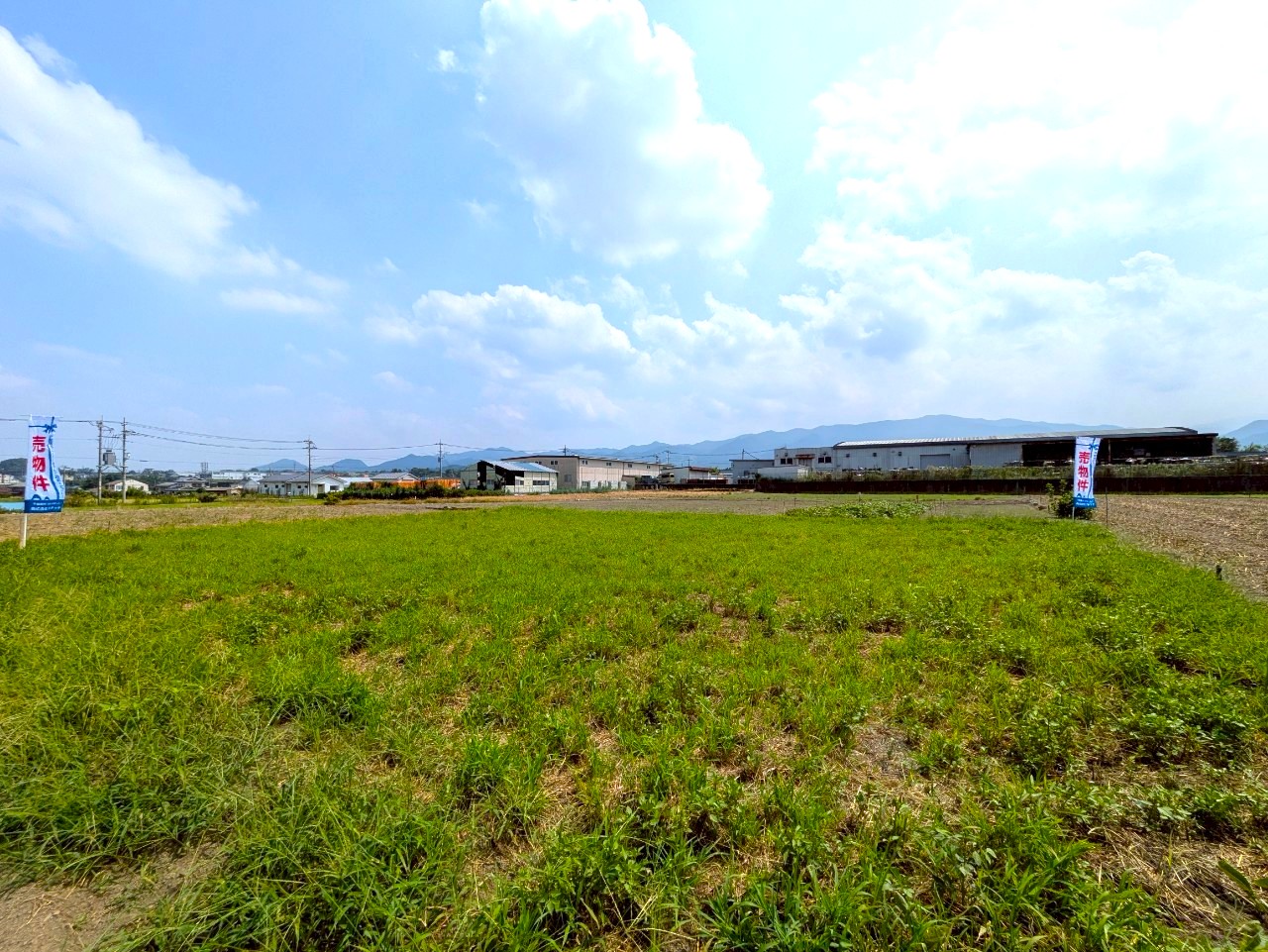 物件の外観・内観画像