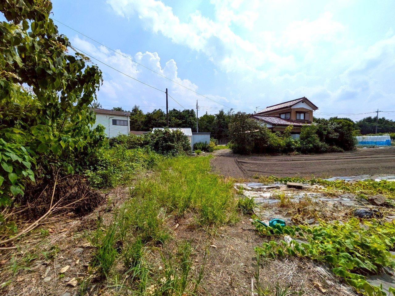 物件の外観・内観画像