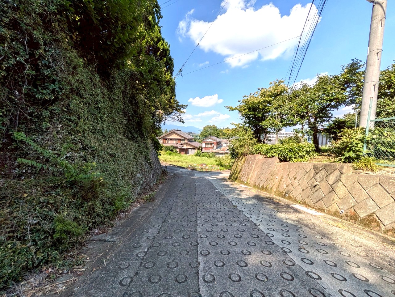 物件の外観・内観画像