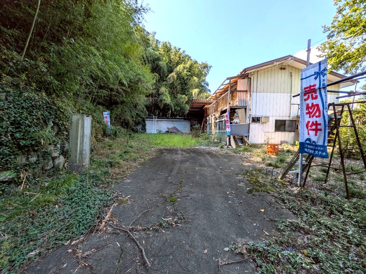 物件の外観・内観画像