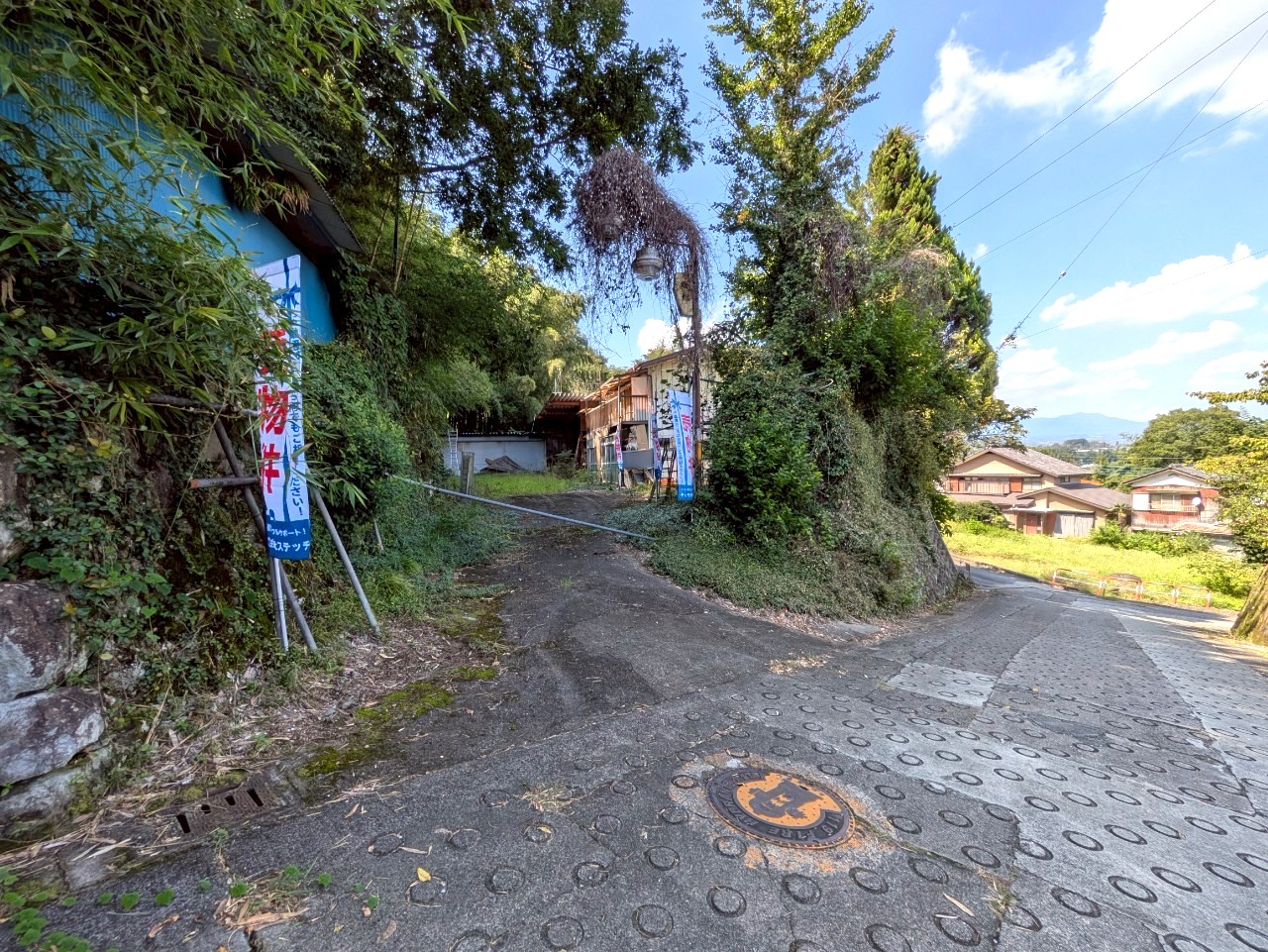 物件の外観・内観画像