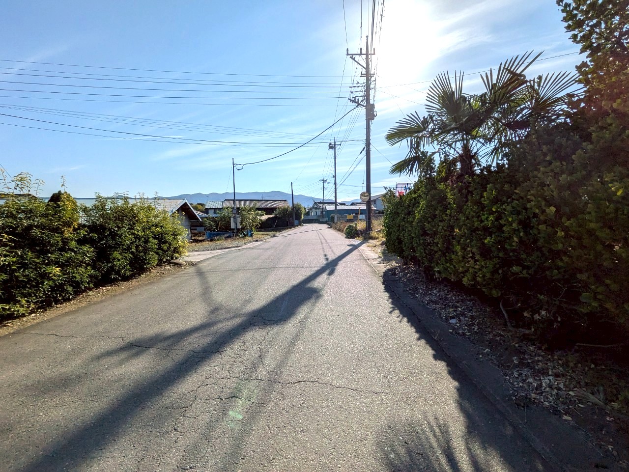 物件の外観・内観画像