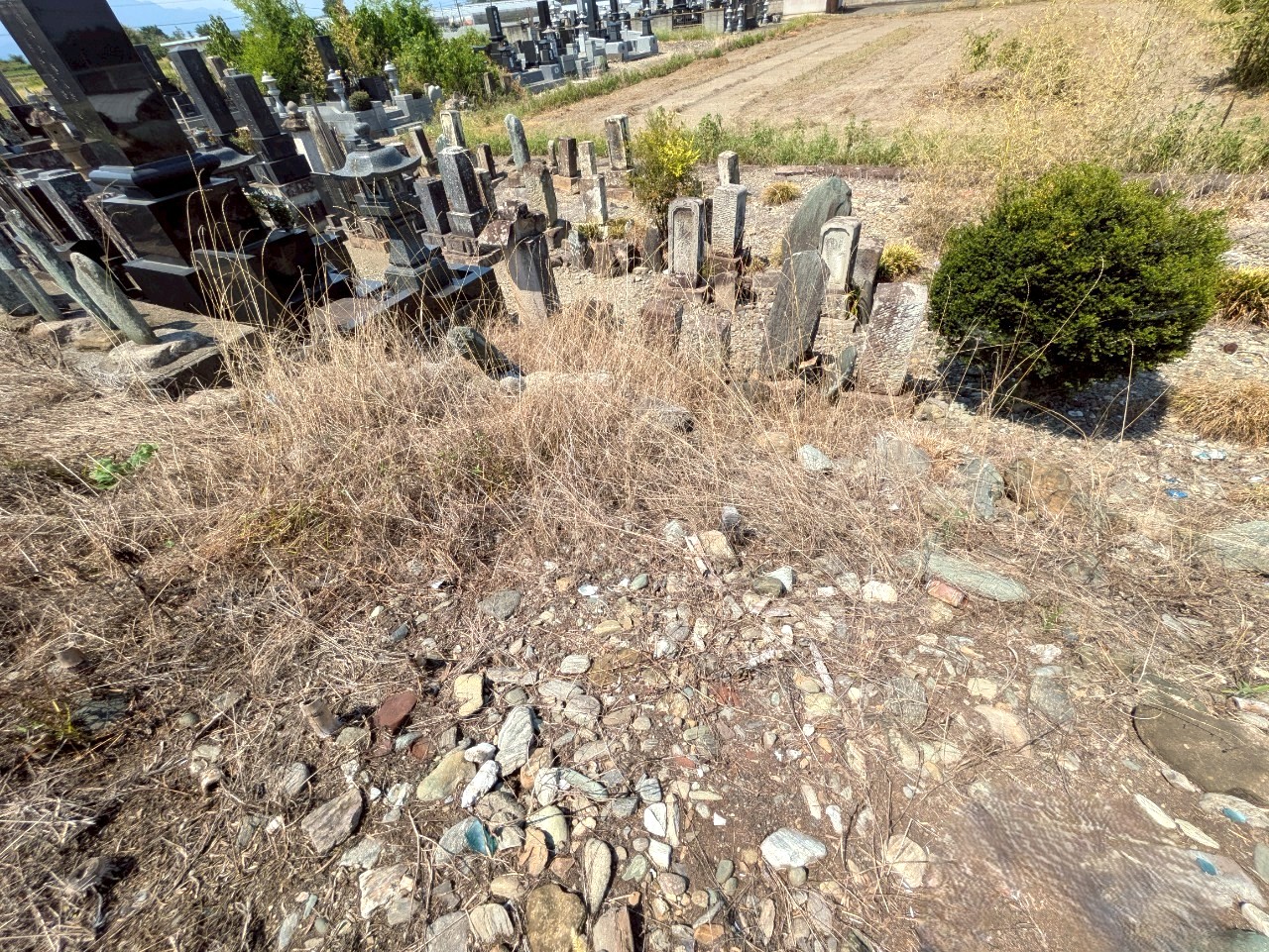 物件の外観・内観画像