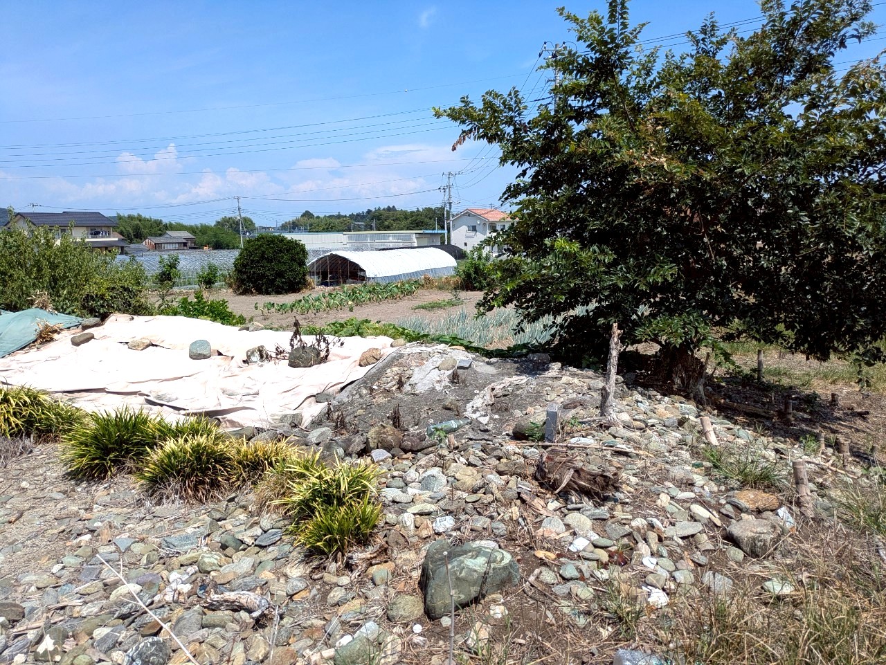 物件の外観・内観画像