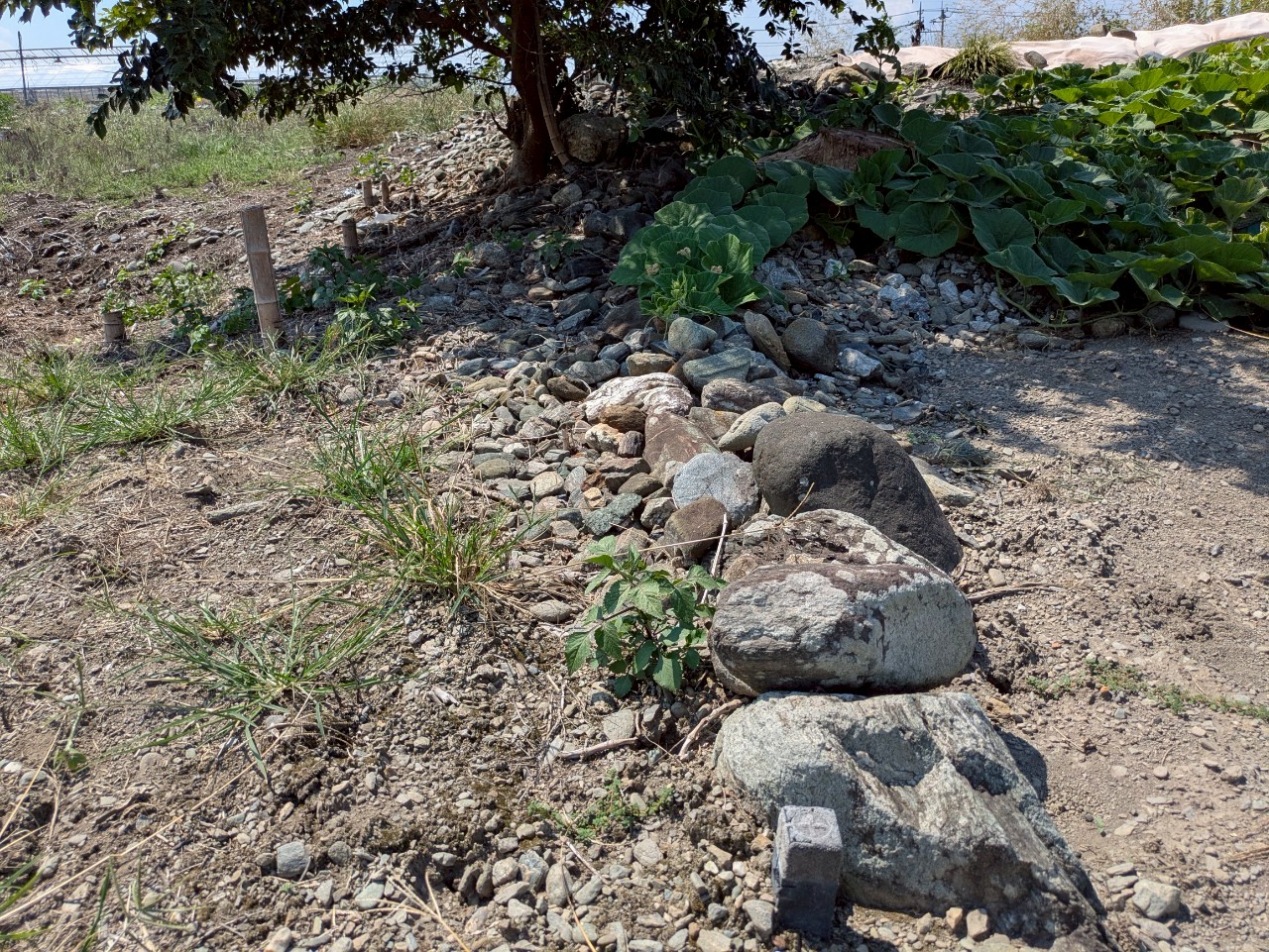 物件の外観・内観画像