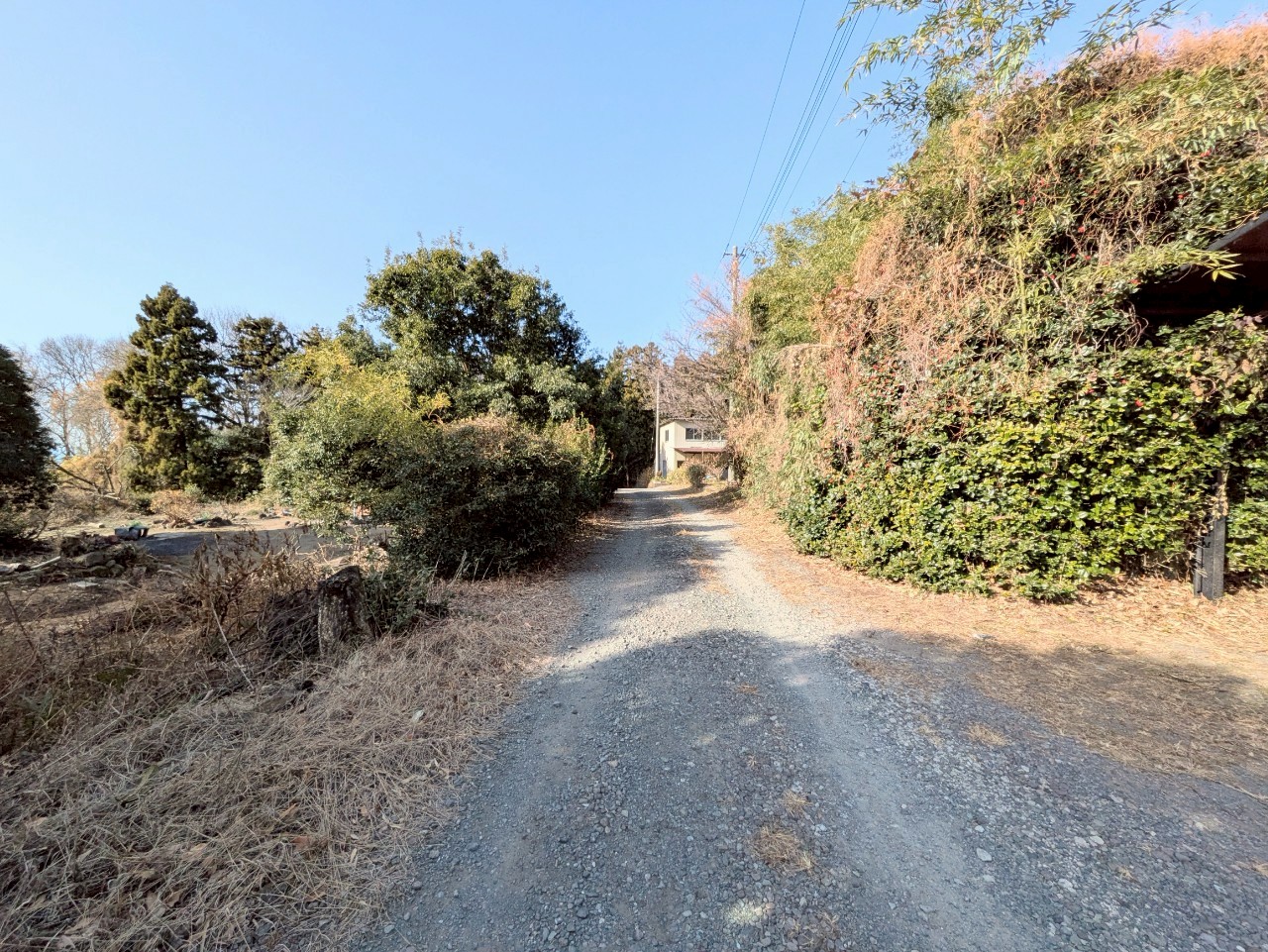 物件の外観・内観画像