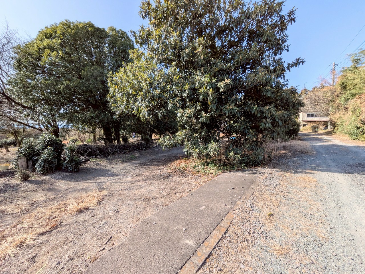 物件の外観・内観画像