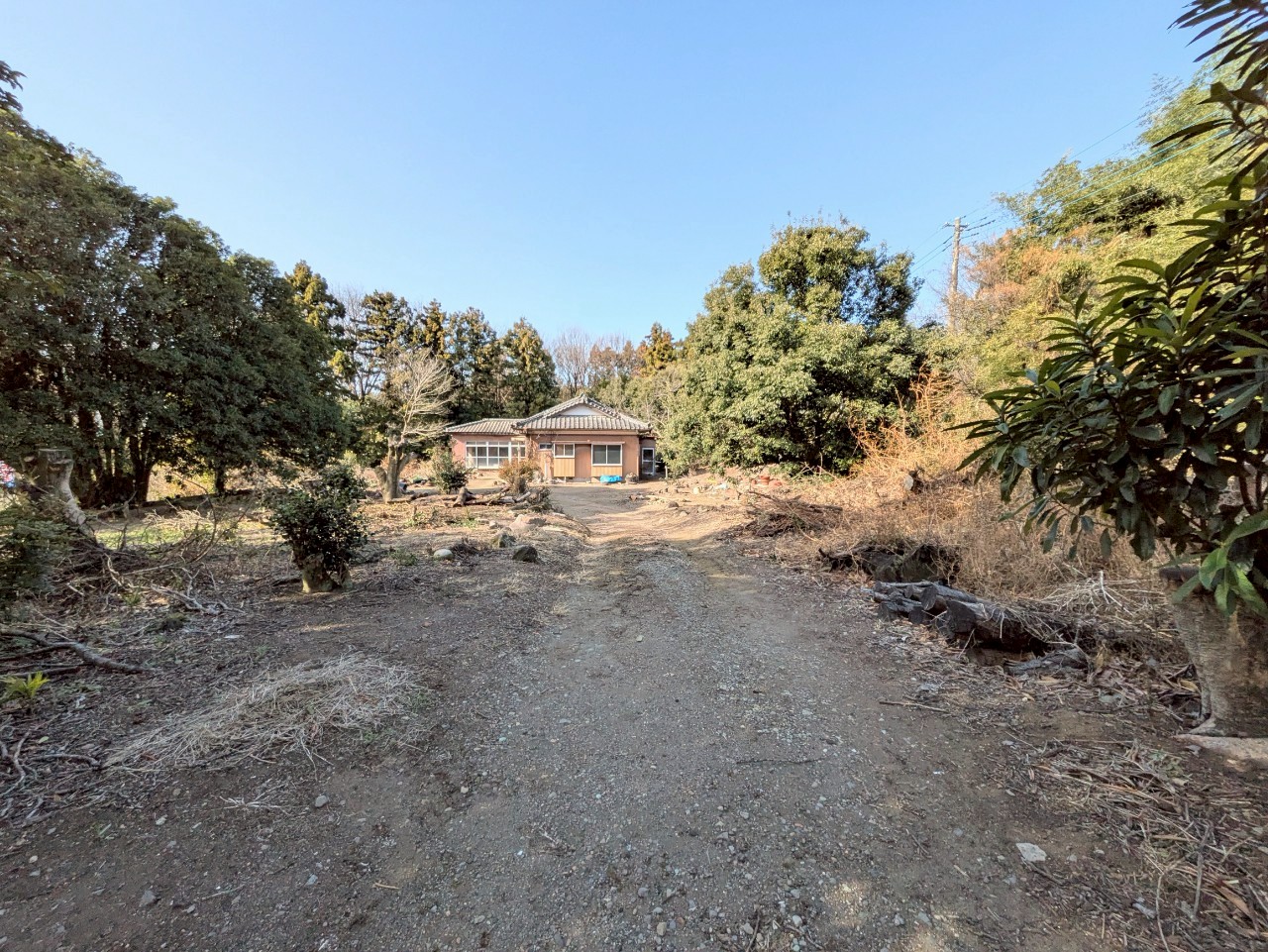 物件の外観・内観画像