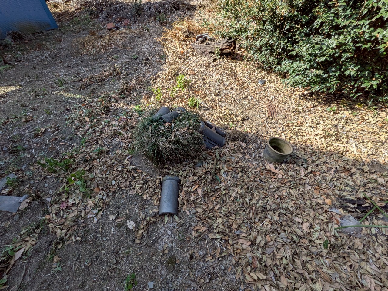 物件の外観・内観画像