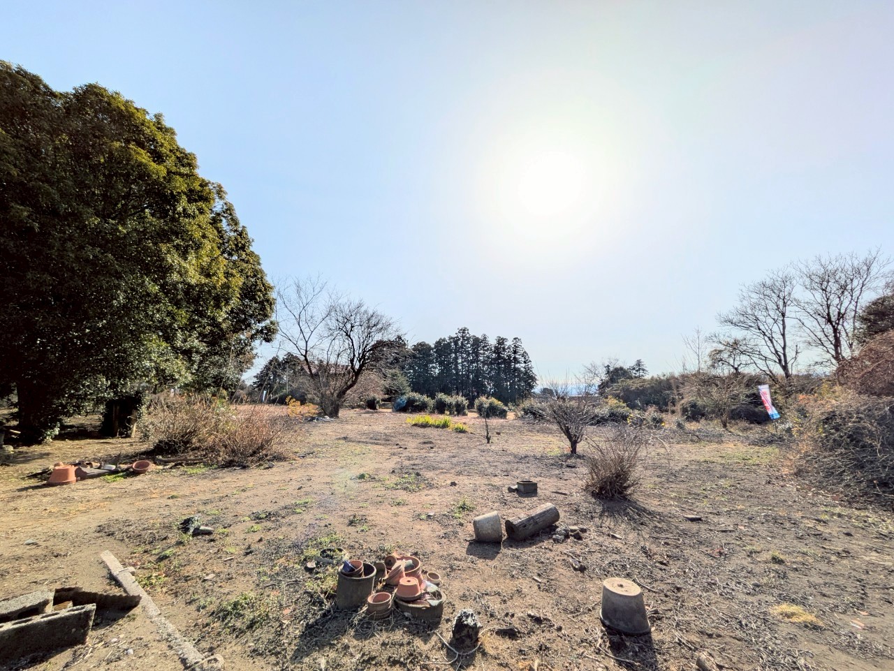 物件の外観・内観画像