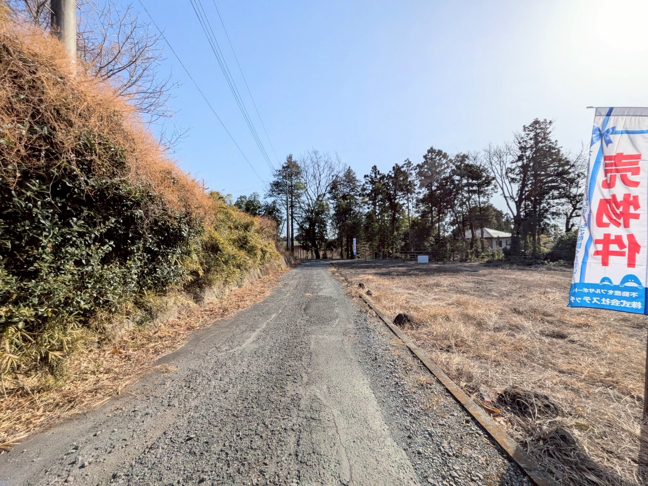 物件の外観・内観画像