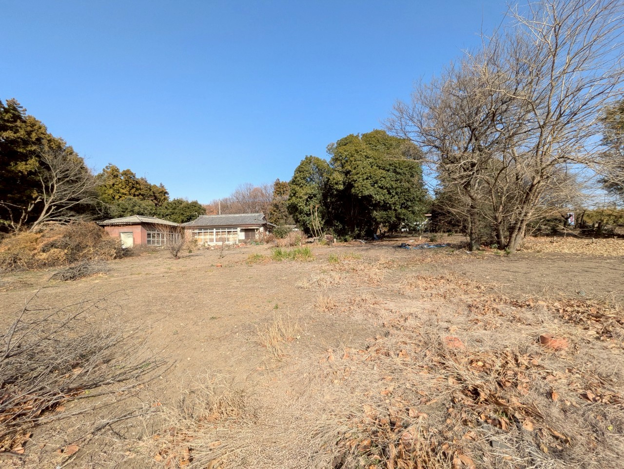 物件の外観・内観画像