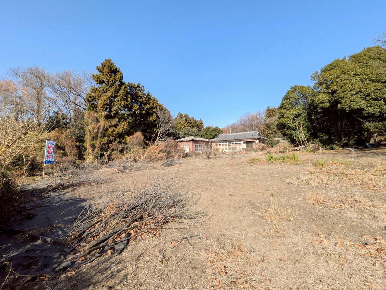 物件の外観・内観画像