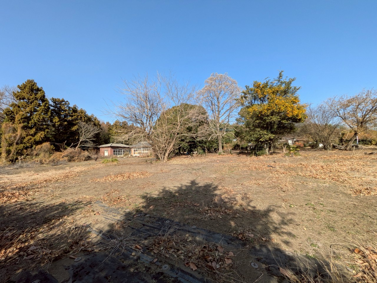 物件の外観・内観画像