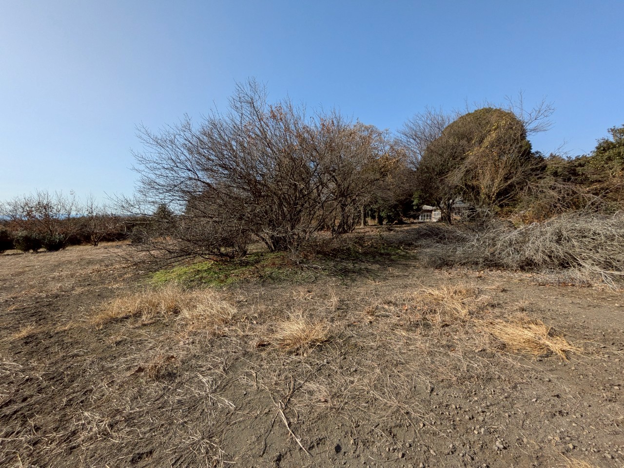 物件の外観・内観画像