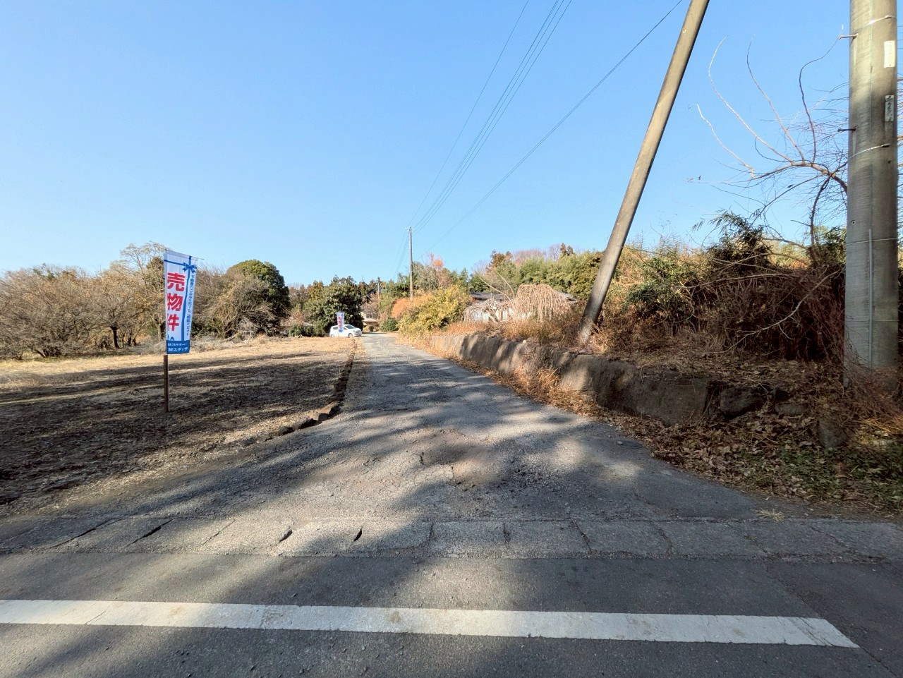 物件の外観・内観画像